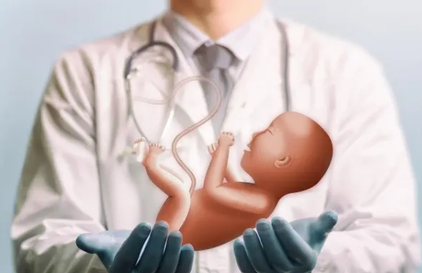 长春什么地方请人代孕|商洛试管婴儿医院成功率有多高？泰国的三代试管婴儿