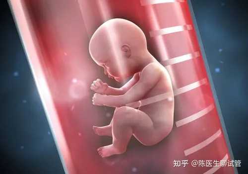 长春找代孕妈妈花费多少钱|杭州助孕机构排名-试管费用