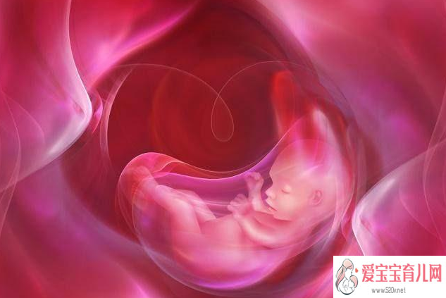 长春怎样选择好代孕的胚胎|长春有关代孕的|长春代孕哪里技术|长春代孕网电话