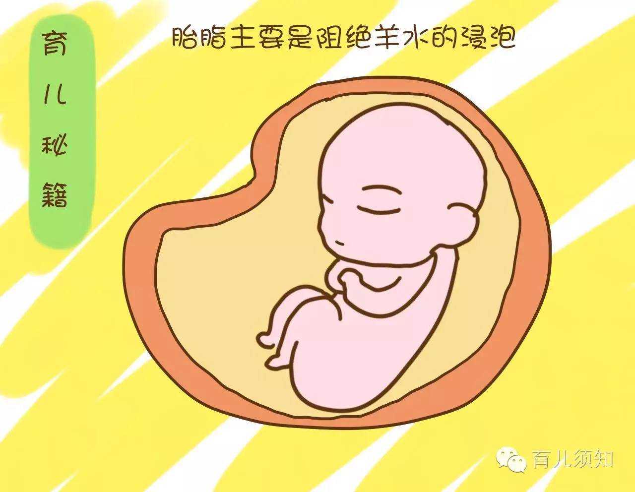 南昌代怀产子中心 南昌生殖医院支持体外新鲜胚胎移植技术的理由 ‘男宝宝三
