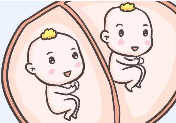 B超下胚芽长短怎么看腹中胎儿是男孩还是女孩？
