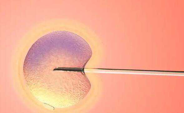 不孕夫妻做单囊胚移植一次成功的几率高吗?